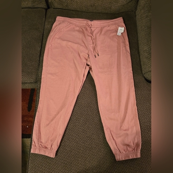 Gap Jogger Pants Women Blush XXL Elastic Waistband Pockets Tassles Athletic New - Picture 2 of 13